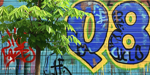 Eine Hauswand mit einem blauen Q8-Graffiti, davor steht links ein kleiner Baum 