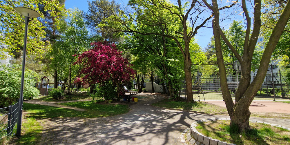 Blick in einen Hinterhof mit einem Weg, an dessen linkem Rand grüne, blühende Bäume stehen und im Hintergrund rechts ein eingezäunter Spielplatz zu sehen ist. Das Ganze vor einem strahlend blauen Himmel